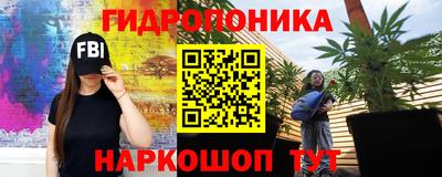 шишки Славянск-на-Кубани
